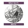 Wild Ways: Zen Poems (Companions for the Journey)