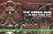 The Green Man in New York City by Asher Derman