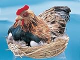 Chicken w/ Eggs On Nest Decoration Figurine Lifelike Model Statue