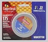 CROSMAN AIR GUNS 6022 175CT .22 Cal Pellet
