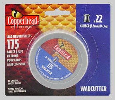 CROSMAN AIR GUNS 6022 175CT .22 Cal Pellet
