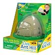 Anthill-Anthill