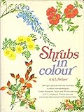 Shrubs in colour