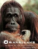 Orangutans : wizards of the rain forest