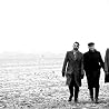 Image of Moderat