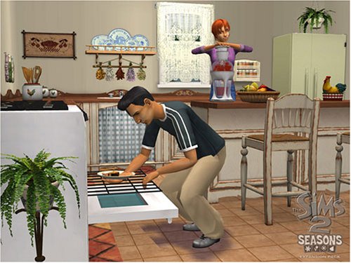 The Sims 2: Seasons Expansion Pack (PC DVD)