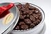 Milk Chocolate Covered Pecans Gift Tin