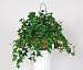 Artificial English Ivy Hanging Basket