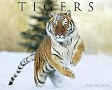 Tigers 2010 Calendar