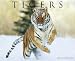 Tigers Calendar