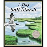 A Day in the Salt Marsh