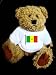 Teddy Bear with flag, senegal t-shirt