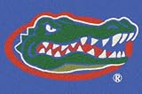 Florida Gators 2'8 x 3'10 Team Spirit Area Rug