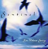 Sentinel  - Kites With Strings 