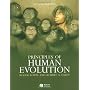 Principles of Human Evolution by Robert Andrew Foley