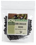 Woodstock Farms  Dark Chocolate Raisins, with Dried Cane Syrup, Organic, 9-Ounce Bags (Pack of 2)