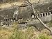 Ajanta Cave Complex, Maharashtra Art Photographic Poster Print by R H Productions, 12...