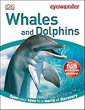 Whales and dolphins