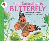 From Caterpillar to Butterfly Big Book (Let’s-Read-and-Find-Out Science 1) Reviews