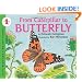 From Caterpillar to Butterfly Big Book (Let's-Read-and-Find-Out Science 1)
