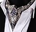 SetSense Men's Paisley Jacquard Woven Self Cravat Tie Ascot