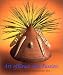Books : Art of Grace and Passion: Antique American Indian Art