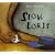 Slow Loris