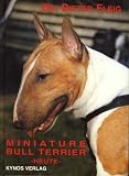 Miniature Bull Terrier heute