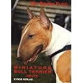 Miniature Bull Terrier heute