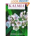 Kalmia: Mountain Laurel and Related Species