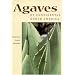 Agaves of Continental North America