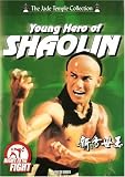 Young Hero of Shaolin