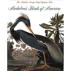 Audubon's Birds of America: The Audubon Society Baby Elephant Folio by John James Audubon and Roger Tory Peterson Institute