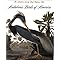 Bird Lovers' choice - great gifts for bird watchers.