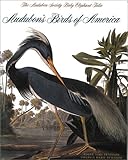 Birds of America