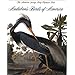 Audubon's Birds of America: The Audubon Society Baby Elephant Folio