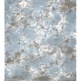 ePhoto 6 x 9 ft Muslin Backdrop Backgrounds by ePhotoInc W106