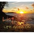 Life Goes On ~ Linq
