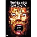 Thirteen Ghosts (Widescreen)