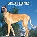 Great Danes 2007 Calendar
