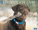 Just Chocolate Labs 2007 Calendar