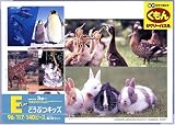 PE-110 どうぶつキッズ の評価・レビュー