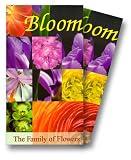 Product details for Bloom