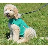 ThunderShirt Green Small