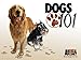 Meet the English Sheepdog, Chow Chow, Toy Fox Terrier, Brittany, and Miniature Schnauzer