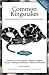 Common Kingsnakes (Advanced Vivarium Systems)