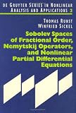 Sobolev Spaces of Fractional Order, Nemytskij Operators, and Nonlinear Partial Differential Equations (De Gruyter Series in Nonlinear Analysis and Applications, 3)