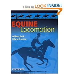 Equine Locomotion