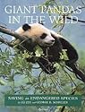 Giant Pandas in the Wild: Saving an Endangered Species