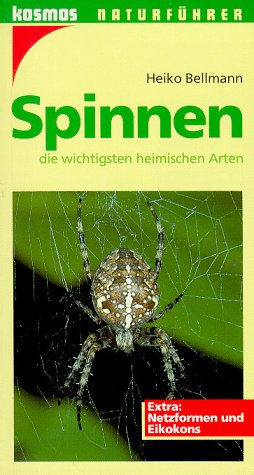 Produkt-Bild: Spinnen, die wichtigsten heimischen Arten